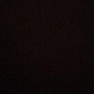 Meet your Posher, Abigail